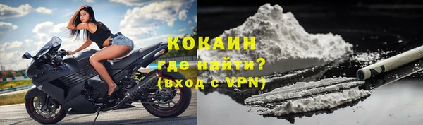 сатива Белокуриха