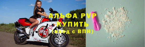 сатива Белокуриха