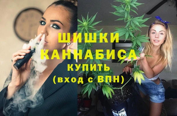 бошки Тында