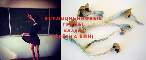 сатива Белокуриха