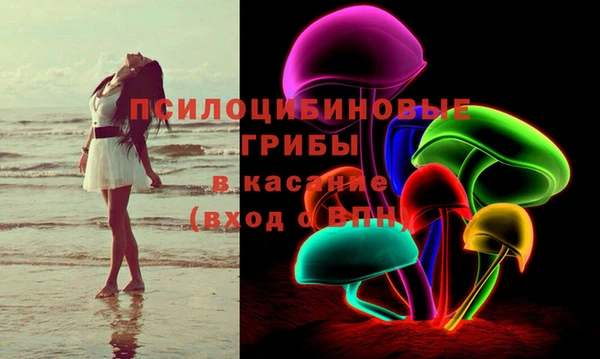 сатива Арсеньев