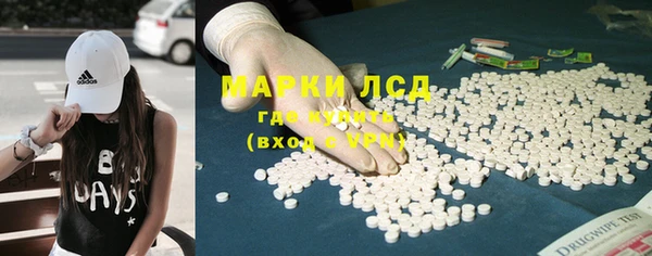 сатива Белокуриха